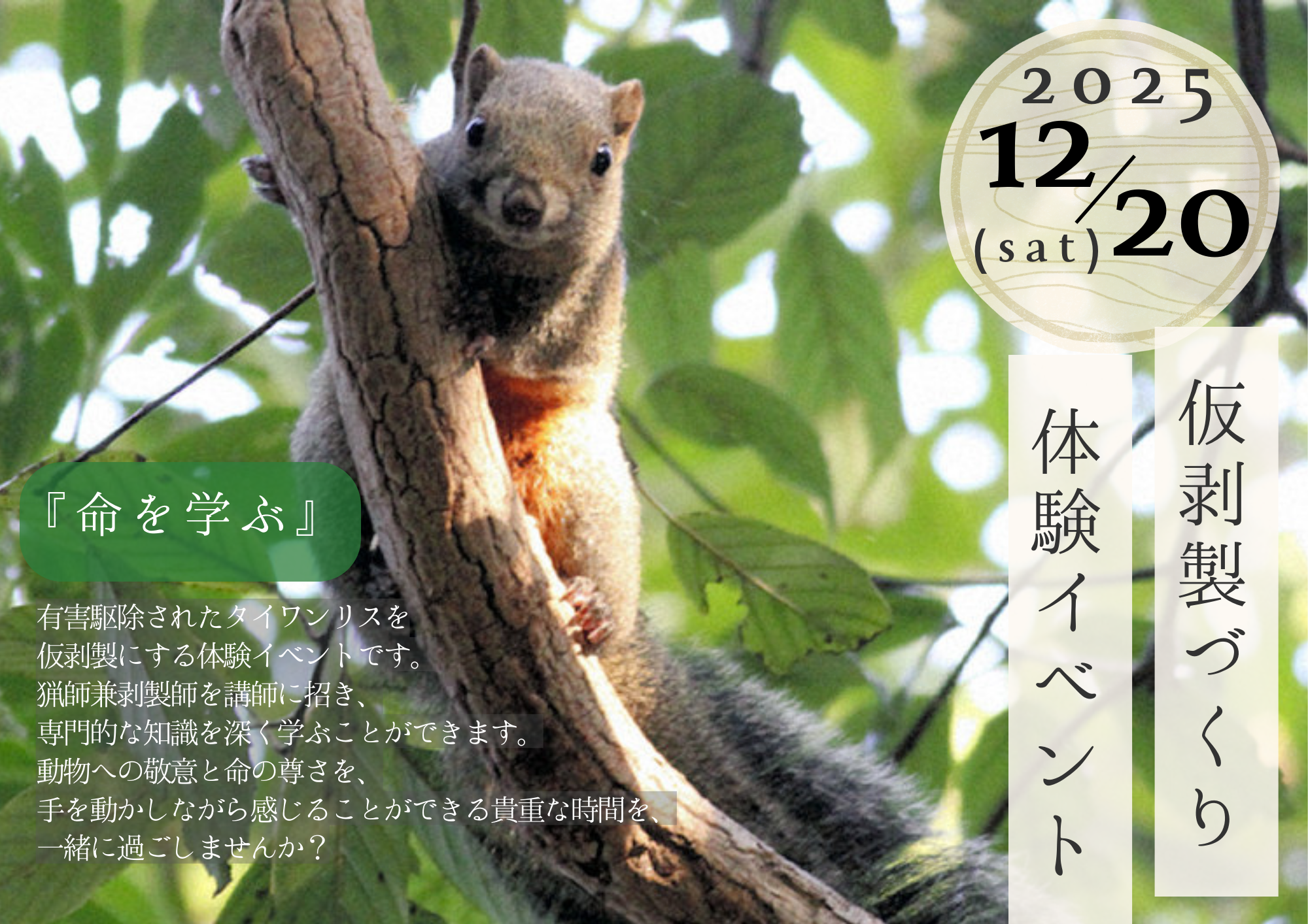 12月20日のイベント情報です。