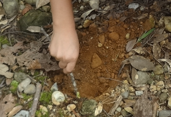 写真:森のムッレ教室⑤ つながりを発見しよう