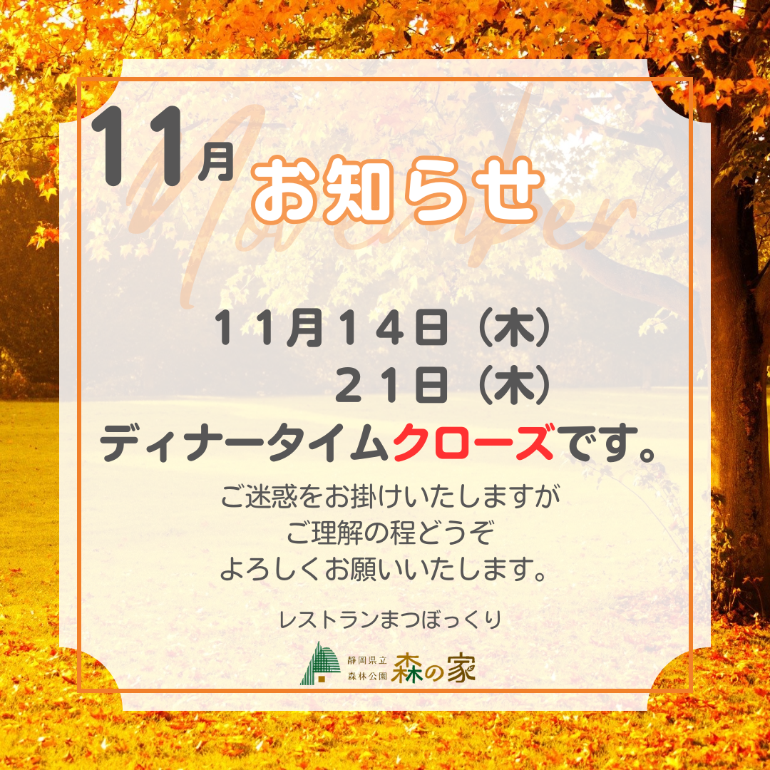 オレンジ　紅葉　秋　植物　写真　11月　カレンダー　フレーム　Instagramの投稿　正方形.png